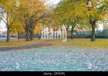 In Ilford im Osten Londons ist morgens ein Park mit Herbstfarbe teilweise frostig zu sehen. Stockfoto