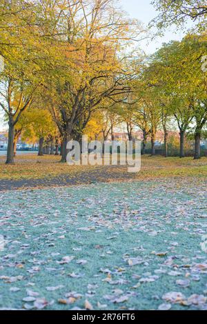 In Ilford im Osten Londons ist morgens ein Park mit Herbstfarbe teilweise frostig zu sehen. Stockfoto