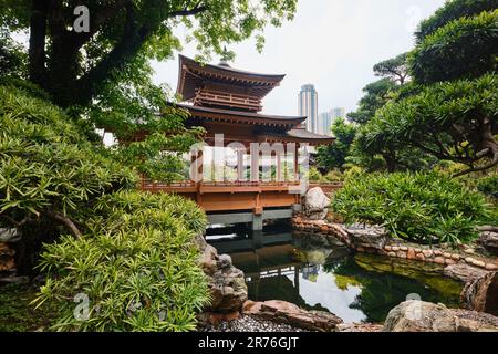 Hongkong, China - 2023. April: Wunderschöne grüne Landschaft des Nan Lian Garden in Diamond Hill, Chi Lin Nunnery Stockfoto