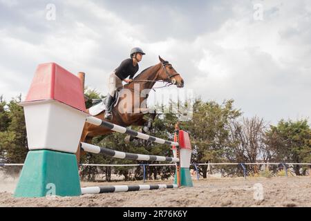 Blick von der Seite auf eine junge weibliche Reiterin in Helm und Reitstiefeln, die Kastanienpferd reitet, auf einem Rasen über eine Barriere in der Landschaft unter bewölktem Himmel Stockfoto