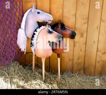 Hobbypferde im Korral. Pferdesport. Drei Hobbypferde warten auf die Reiter Stockfoto