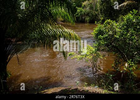Ein malerischer Fluss fließt durch einen üppigen Wald, in dem das Wasser Schlamm und Trümmer aufwirbelt Stockfoto