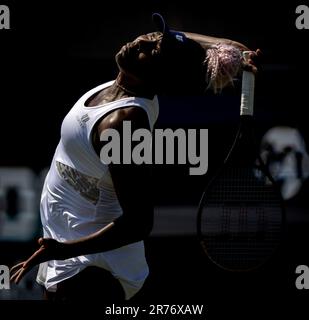 ROSMALEN - 13. 06. 2023, Venus Williams (USA) in Aktion gegen Celine Naef (SUI) am zweiten Tag des Libema Open Tennisturniers in Rosmalen. AP-SCHLEIFGERÄT KING Stockfoto