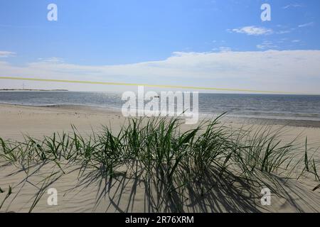 Blick über eine Düne auf der Insel Borkum zur Nordsee Stockfoto
