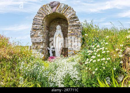 Blumen wachsen neben dem Schrein am St.-Non-Brunnen, einem heiligen Brunnen und Schrein, der der Mutter des Heiligen Davids gewidmet ist, an der St.-Non-Bucht am St.-David-Peni Stockfoto