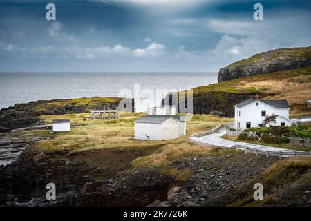 Häuser und Gebäude an der Ostküste mit Kabeljau-Trocknerregalen auf einer grünen Halbinsel in der Nähe von Elliston Newfoundland Canada. Stockfoto