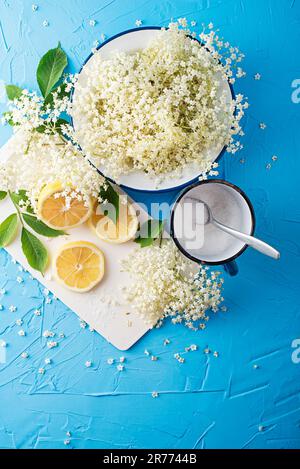 Herstellung eines Sommergetränks, hergestellt aus der natürlichen Gärung älterer Blüten in Wasserzitrone und Zucker. Ältere Blüten Blüten im Teller, Kräuter zum Pr Stockfoto