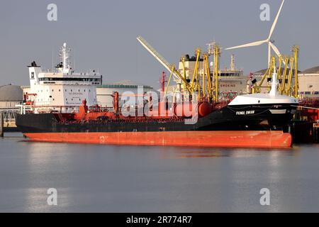 Der Chemikalientanker Fionia Swan liegt am 15. April 2023 im Terminal im Hafen von Rotterdam vor. Stockfoto