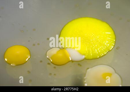 Kolonien verschiedener Bakterien aus menschlicher Haut, die auf Petrischale mit Nähragar gezüchtet werden. Stockfoto