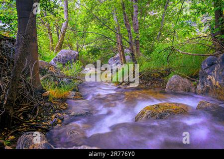 Ein fesselndes, langlebiges Foto des friedlichen Flusses im Devils Canyon, Kalifornien, wo die Zeit in der Ruhe der Natur still steht Stockfoto