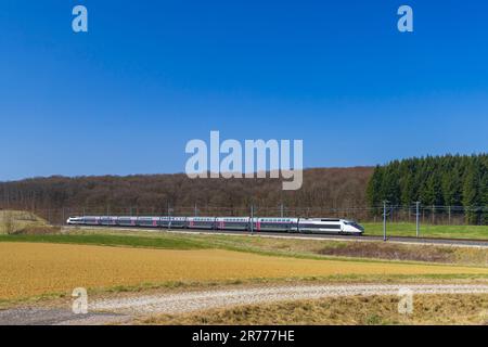 Schnellster TGV-Zug in Nordfrankreich Stockfoto