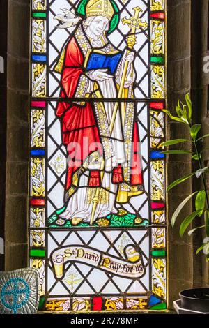 Buntglasfenster mit St. David in der Kapelle unserer Lieben Frau und St. Non in der St. Non's Bay auf der Halbinsel St. David an der Küste von Pembrokeshire Stockfoto