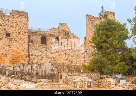 Burg Ajloun, Jordanien - 8. November 2022: Eintritt und Blick auf die Burg Ajloun, erbaut von den Ayyubids im 12. Jahrhundert, Naher Osten Stockfoto