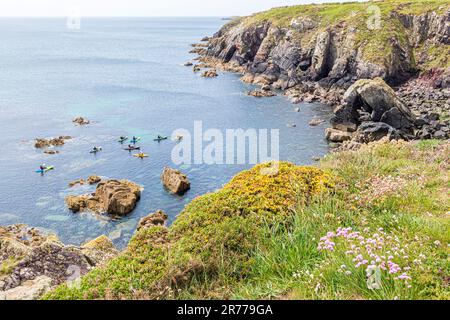 Kanufahrten in St Non's Bay auf der Halbinsel St. David's im Pembrokeshire Coast National Park, Wales, Großbritannien Stockfoto