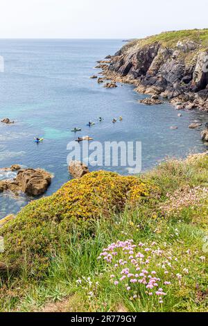 Kanufahrten in St Non's Bay auf der Halbinsel St. David's im Pembrokeshire Coast National Park, Wales, Großbritannien Stockfoto