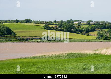 Neben der Severn Estuary verkehrt ein Severn-Personenzug auf der Gloucester-Newport-Linie in der Nähe von Lydney in Gloucestershire. Stockfoto