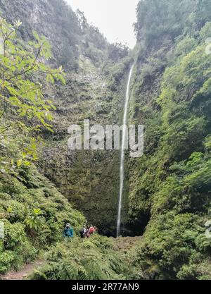 Madeira Island Portugal - 04 19 2023 Uhr: Blick auf den Caldeirão Verde Wasserfall, einen natürlichen Wasserfall, inmitten des Lavasilva-Waldes, typisch und Stockfoto