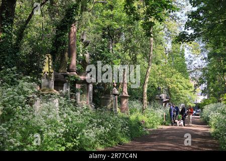 Abney Park Cemetery, einer der „Magnificent Seven“ Friedhöfe in London. Historische Parklandschaft aus dem frühen 18. Jahrhundert von Lady Mary Abney, Großbritannien Stockfoto