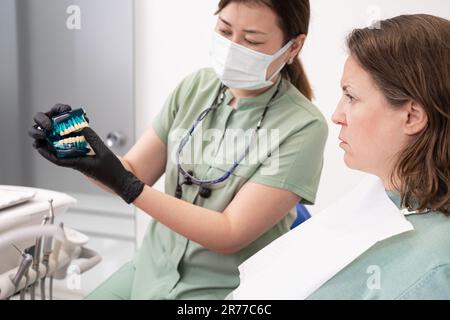 Kiefermodelle für zahnärztliche Fachkräfte in der zahnärztlichen Sprechstunde zeigen Behandlungen und Verfahren Stockfoto