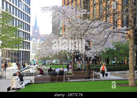 Grünes Gras und Blüten auf dem Pancras Square im Frühling, bei Kings Cross, Nord-London, Großbritannien Stockfoto