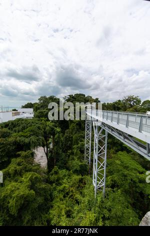 Baumwipfelwanderung auf der Insel Sentosa, Singapur Stockfoto