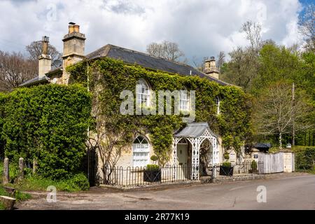 Kletterpflanzen bedecken die Fassade von Bath Stone des Tucking Mill Cottage in Mokton Combe, Somerset. Stockfoto