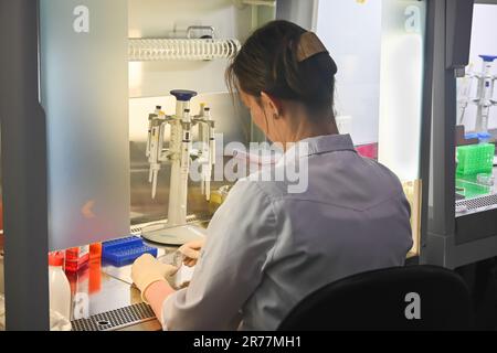 Zellkulturforscher im Labor. Arbeiten Sie in einer Zelle. Stockfoto