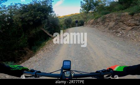 Einen anderen Fahrer in einem Mountainbike-Rennen auf staubigen Schotterstrecken in einem Wald zu jagen Stockfoto
