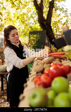 Landwirtin, die selbst gezüchtete Bio-Früchte und Gemüse verkauft und draußen frische Öko-Produkte anbietet. Junger Inhaber eines kleinen Unternehmens, der natürliche Lebensmittel zubereitet, um sie auf dem lokalen Bauernmarkt zu verkaufen. Stockfoto