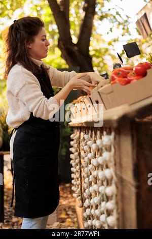 Eine Frau mit einer schwarzen Schürze, die Kürbisse und Gemüse auf dem Stand arrangiert. Frische ökologische Erzeugnisse auf dem Bauernmarkt, weibliche Landwirte, die selbst angebaute Bio-Lebensmittel verkaufen. Stockfoto