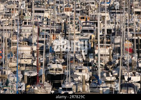 Seattle, Washington, USA -26. Mai 2023: Viele Vergnügungsboote liegen im Hafen vor Anker Stockfoto