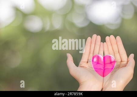 Zwei leere, schöne weibliche Hände öffnen sich mit Handflächen nach oben Nahaufnahme der Draufsicht 3D rotes Herz verschwommener Hintergrund Stockfoto