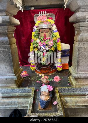 London Sri Mahalakshmi Tempel 241, High Street North, London, E12 6SJ, East Ham. Die wichtigste Gottheit, wenn dieser Tempel Sri Mahalakshmi ist, samedha Sri Venkatachalapathie. Dann Ganesha, Lord Shiva, bekannt als Sahasra Lingeswarar, Sudharshanar, Arupadai Veedu Murugan (sechs Hauptstandorte von Lord Muruga), riesiger Hanuman, Gayathri Devi (die Göttin von Moola Mandra), indem sie beten, Sahasra Lingesar Gläubige erhalten den Segen von 1000 Lingas. Das Saneeswara, riesiges Hanuman, die Personifizierung göttlicher und Stärke, das Idol für starke Menschen. Dieser hinduistische Tempel zieht jeden Tag Tausende von Liebhabern an. Für Bolzen Stockfoto