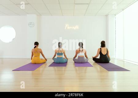 Eine Gruppe junger Frauen, die Yoga üben, sitzen mit dem Rücken zur Kamera in der Lotto-Blüten-Pose Stockfoto