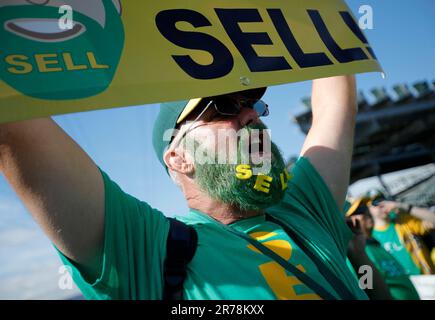 Oakland, Usa. 14. Juni 2023. Doug Sutherland, Fan von Oakland Athletics, nimmt am Dienstag, den 13. Juni 2023, am Coliseum in Oakland, Kalifornien, Teil. Stu Clary von Vacaville, ein langjähriger Fan von Oakland A, hatte die Idee, das Kolosseum mit Fans zu füllen, die das Team trotz ihres möglichen Umzugs nach Las Vegas unterstützen. (Foto: Jane Tyska/Bay Area News Group/TNS/Sipa USA) Guthaben: SIPA USA/Alamy Live News Stockfoto