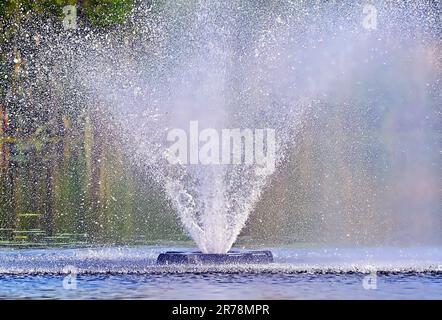 Ein Springbrunnen sprüht Wasser in einem Teich in der Nähe von Edmonton, Alberta, Kanada Stockfoto