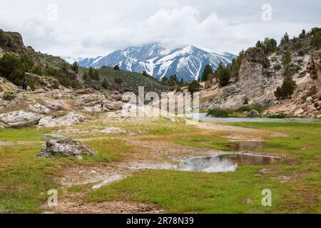 Hot Creek Geological Site ist die Heimat von heißen Quellen in der Nähe der Stadt Mammoth Lakes, Mono County, CA. Stockfoto