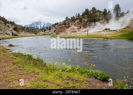 Hot Creek Geological Site ist die Heimat von heißen Quellen in der Nähe der Stadt Mammoth Lakes, Mono County, CA. Stockfoto