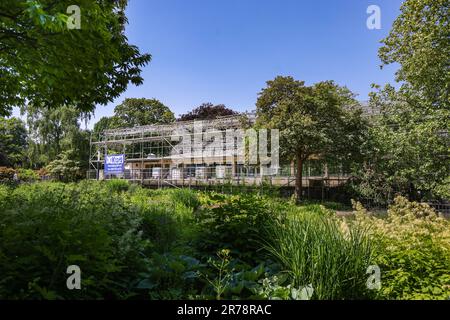 Hamburg, Deutschland. 12. Juni 2023. Blick auf das Café Seeterrassen im Park Planten un Blomen in Hamburg. Der traditionelle Pub mit vier Veranstaltungsräumen und einer 2.000 m² großen Terrasse sowie Gastronomie ist seit 2020 leer. Der geplante Abriss des Cafés, das 1953 nach Plänen des Hamburger Architekten Ferdinand Streb für die Internationale Gartenausstellung gebaut wurde, wurde durch eine Petition verhindert. Jetzt hat der Bezirk Hamburg-Mitte das Café Seeterrassen gekauft. Kredit: Ulrich Perrey/dpa/Alamy Live News Stockfoto