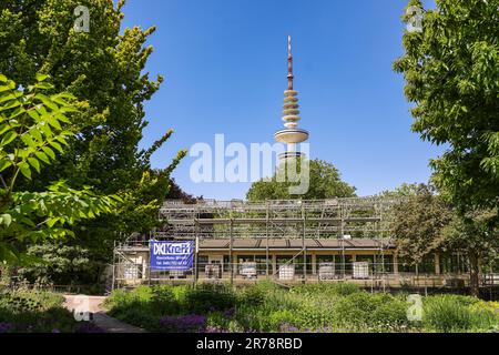 Hamburg, Deutschland. 12. Juni 2023. Blick auf das Café Seeterrassen im Park Planten un Blomen in Hamburg. Der traditionelle Pub mit vier Veranstaltungsräumen und einer 2.000 m² großen Terrasse sowie Gastronomie ist seit 2020 leer. Der geplante Abriss des Cafés, das 1953 nach Plänen des Hamburger Architekten Ferdinand Streb für die Internationale Gartenausstellung gebaut wurde, wurde durch eine Petition verhindert. Jetzt hat der Bezirk Hamburg-Mitte das Café Seeterrassen gekauft. Kredit: Ulrich Perrey/dpa/Alamy Live News Stockfoto