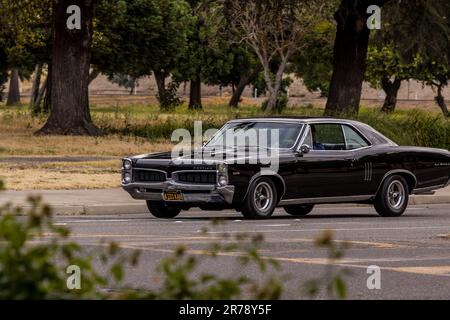 Ein 1967 Pontiac GTO beim North Modesto Kiwanis American Graffiti Car Show & Festival Stockfoto