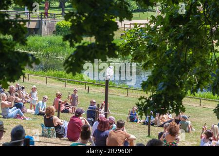 Falknerei auf Warwick Castle Grounds in Warwickshire, England, Großbritannien, einschließlich Seeadler, Andenkondore und Eulen Stockfoto