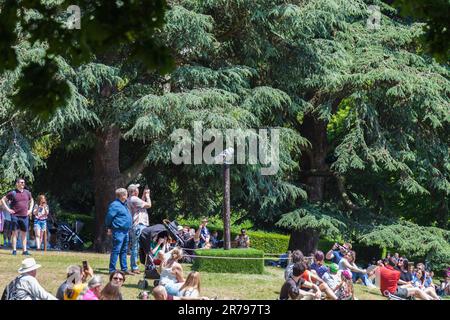 Falknerei auf Warwick Castle Grounds in Warwickshire, England, Großbritannien, einschließlich Seeadler, Andenkondore und Eulen Stockfoto