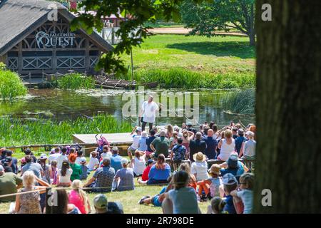 Falknerei auf Warwick Castle Grounds in Warwickshire, England, Großbritannien, einschließlich Seeadler, Andenkondore und Eulen Stockfoto