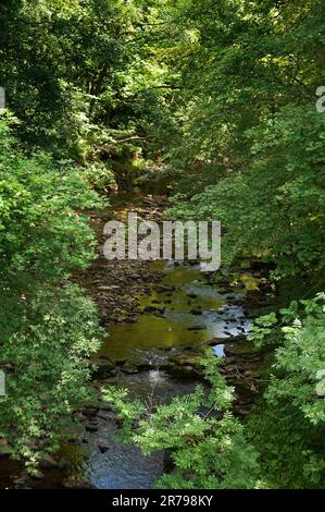 Der Fluss Allen, Allendale, Northumberland Stockfoto