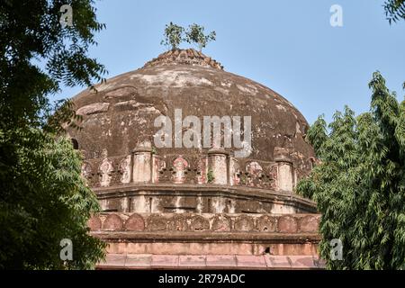 Kuppel des Shish Gumbad Grabes im New Delhi Lodhi Garten, Indien, antikes indisches Baugrab von Shisha Gumbad Mischung aus islamischer und indischer Architektur, o Stockfoto