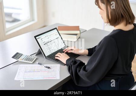 Asiatische Frau, die Tagebucheinträge in Buchhaltungssoftware eingibt Stockfoto