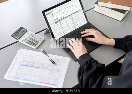 Asiatische Frau, die Tagebucheinträge in Buchhaltungssoftware eingibt Stockfoto