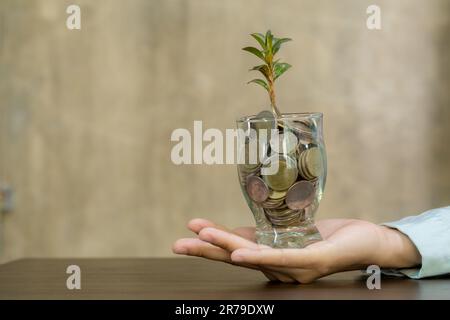 Pflanzen, die aus Geld (Münzen) im Glasbehälter wachsen, der von den Händen einer Frau gehalten wird - Metapherkonzept für Wirtschaft und Finanzen, Webbanner mit Kopierbereich Stockfoto