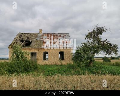 Altes Bauernhaus aus Ziegelstein auf dem Land mit Sturmwolken am Himmel. Es gibt eine kurze Graswiese und einen alten Apfelbaum rund um das Haus. Stockfoto